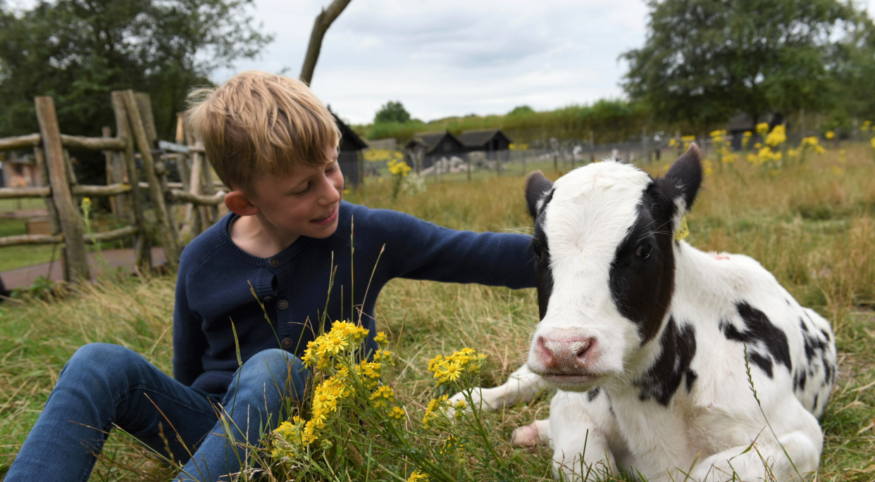 Nymarksminde1242x685 (1)