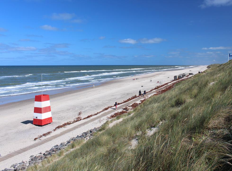 Jyllands Vestkyst 11